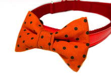 Load image into Gallery viewer, Black and Orange Dog Bow Tie