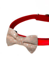 Load image into Gallery viewer, Peach Dots Dog Bow Tie
