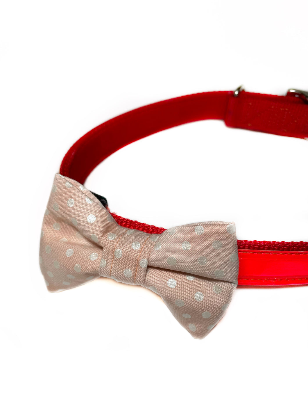 Peach Dots Dog Bow Tie