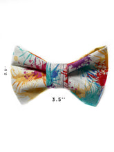 Load image into Gallery viewer, Color Splash Dog Bow Tie
